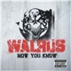 Walrus - Now You Know